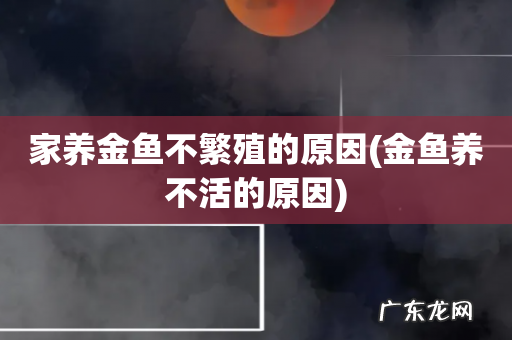金鱼养不活的原因 家养金鱼不繁殖的原因