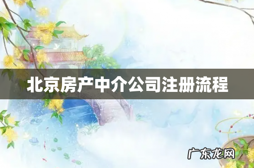 北京房产中介公司注册流程