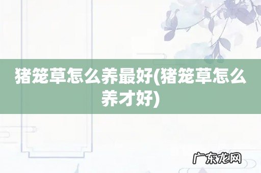 猪笼草怎么养才好 猪笼草怎么养最好