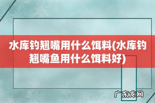 水库钓翘嘴鱼用什么饵料好 水库钓翘嘴用什么饵料