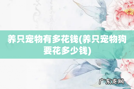 养只宠物狗要花多少钱 养只宠物有多花钱