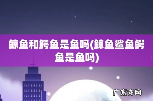 鲸鱼鲨鱼鳄鱼是鱼吗 鲸鱼和鳄鱼是鱼吗