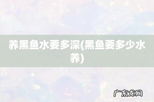 黑鱼要多少水养 养黑鱼水要多深