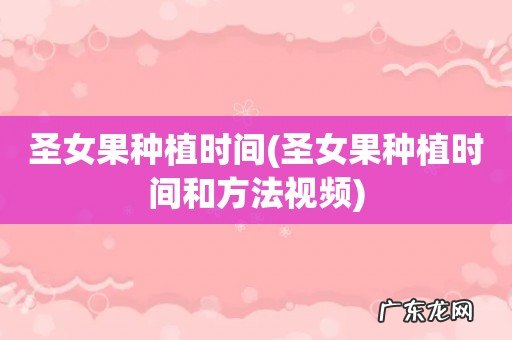 圣女果种植时间和方法视频 圣女果种植时间