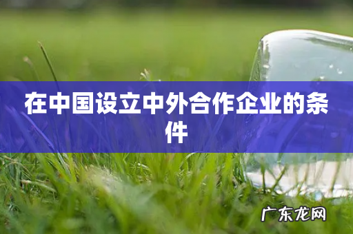 在中国设立中外合作企业的条件