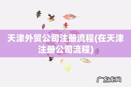 在天津注册公司流程 天津外贸公司注册流程