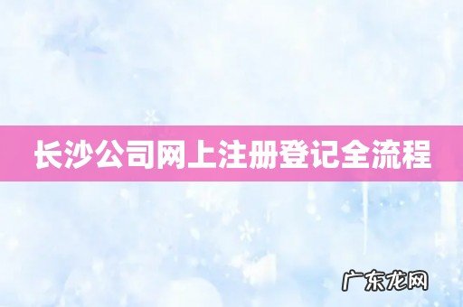长沙公司网上注册登记全流程