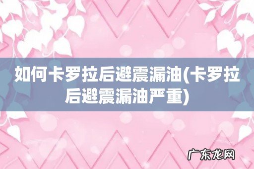 卡罗拉后避震漏油严重 如何卡罗拉后避震漏油
