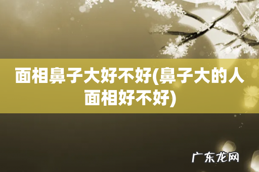 鼻子大的人面相好不好 面相鼻子大好不好