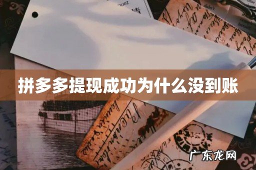 拼多多提现成功为什么没到账