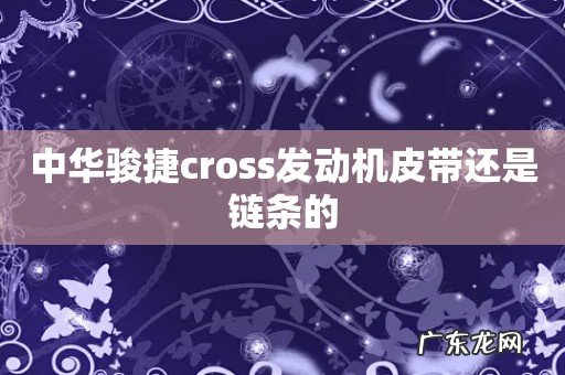 中华骏捷cross发动机皮带还是链条的