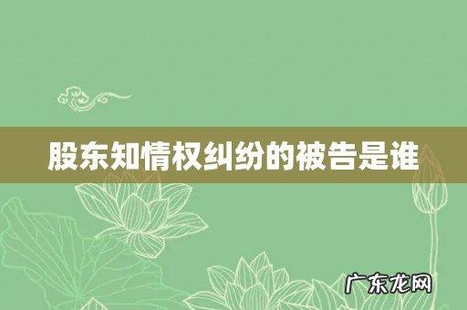 股东知情权纠纷的被告是谁