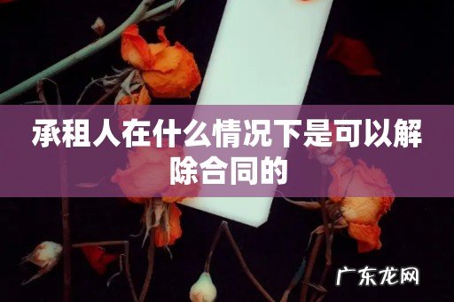 承租人在什么情况下是可以解除合同的