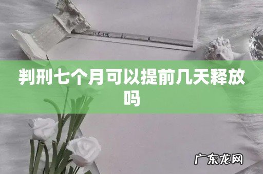 判刑七个月可以提前几天释放吗