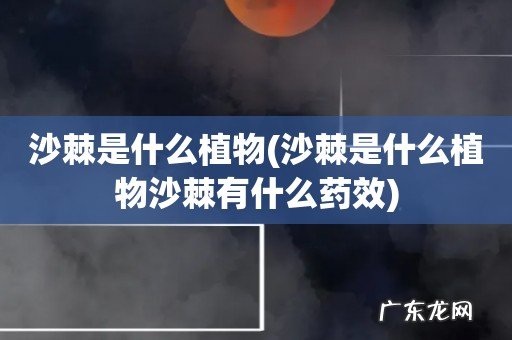 沙棘是什么植物沙棘有什么药效 沙棘是什么植物