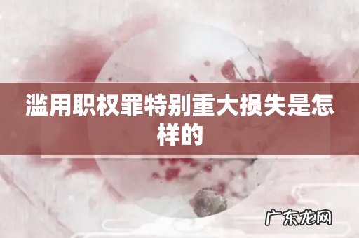 滥用职权罪特别重大损失是怎样的