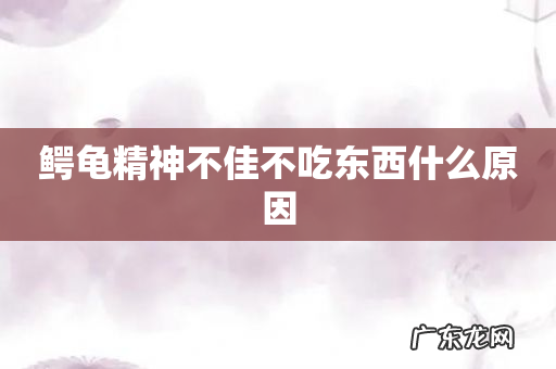 鳄龟精神不佳不吃东西什么原因