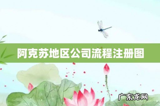阿克苏地区公司流程注册图