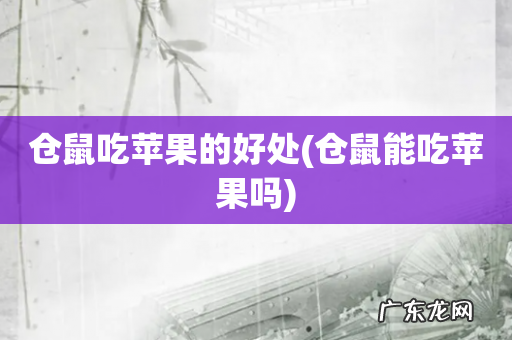 仓鼠能吃苹果吗 仓鼠吃苹果的好处