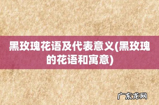 黑玫瑰的花语和寓意 黑玫瑰花语及代表意义