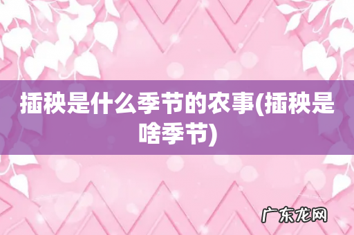 插秧是啥季节 插秧是什么季节的农事