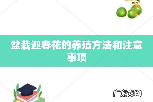盆栽迎春花的养殖方法和注意事项