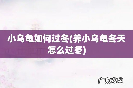 养小乌龟冬天怎么过冬 小乌龟如何过冬