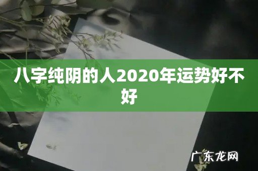 八字纯阴的人2020年运势好不好