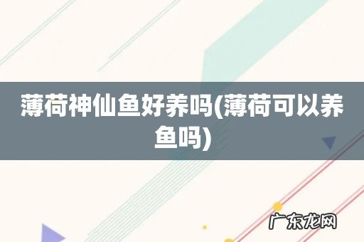 薄荷可以养鱼吗 薄荷神仙鱼好养吗