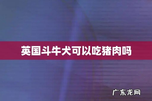 英国斗牛犬可以吃猪肉吗
