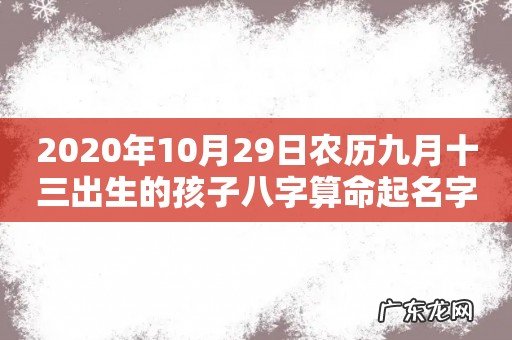 2020年10月29日农历九月十三出生的孩子八字算命起名字