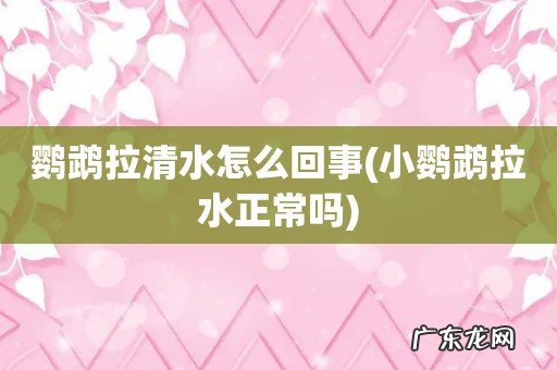 小鹦鹉拉水正常吗 鹦鹉拉清水怎么回事