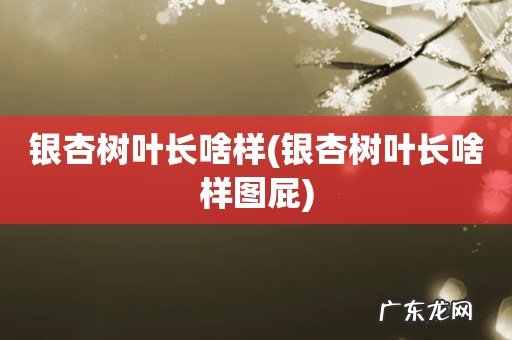银杏树叶长啥样图屁 银杏树叶长啥样