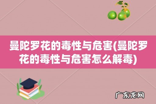 曼陀罗花的毒性与危害怎么解毒 曼陀罗花的毒性与危害