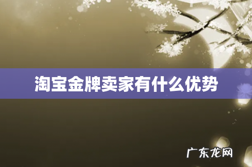 淘宝金牌卖家有什么优势