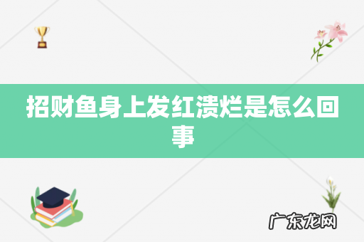 招财鱼身上发红溃烂是怎么回事