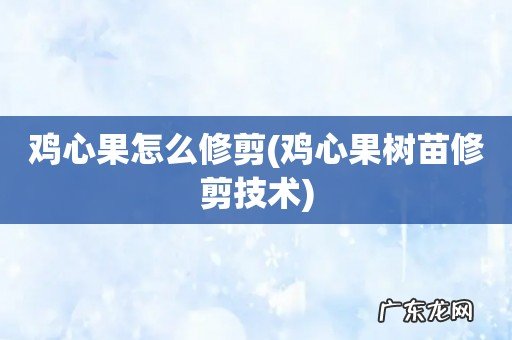 鸡心果树苗修剪技术 鸡心果怎么修剪
