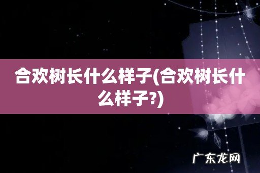 合欢树长什么样子? 合欢树长什么样子