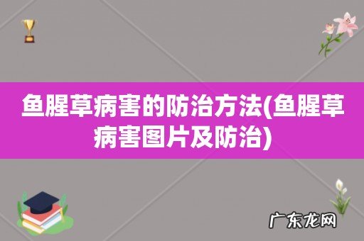 鱼腥草病害图片及防治 鱼腥草病害的防治方法