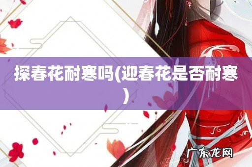 迎春花是否耐寒 探春花耐寒吗