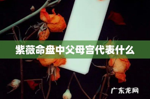 紫薇命盘中父母宫代表什么