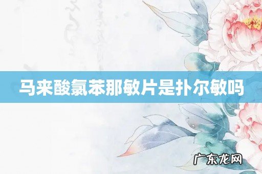 马来酸氯苯那敏片是扑尔敏吗