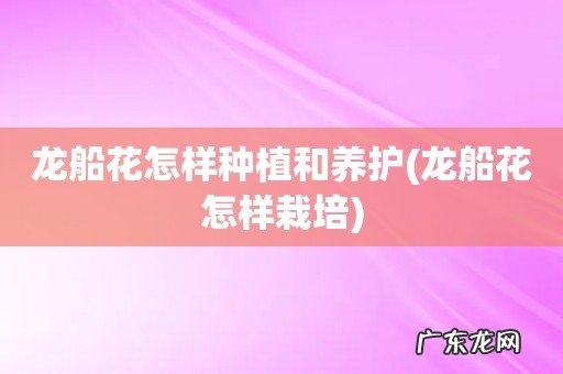 龙船花怎样栽培 龙船花怎样种植和养护