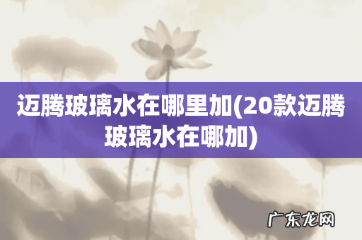 20款迈腾玻璃水在哪加 迈腾玻璃水在哪里加