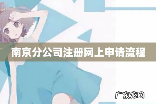 南京分公司注册网上申请流程