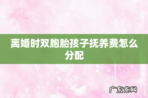 离婚时双胞胎孩子抚养费怎么分配