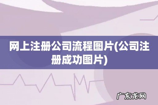 公司注册成功图片 网上注册公司流程图片