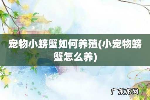 小宠物螃蟹怎么养 宠物小螃蟹如何养殖