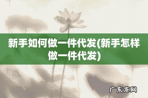 新手怎样做一件代发 新手如何做一件代发