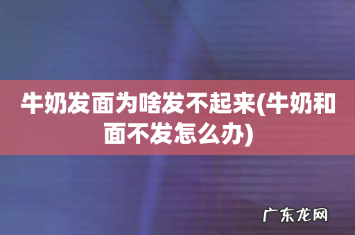 牛奶和面不发怎么办 牛奶发面为啥发不起来